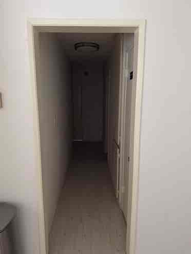 Looking for a third roommate