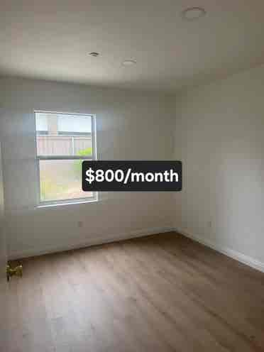 Room for Rent – Safe, Clean & Quiet