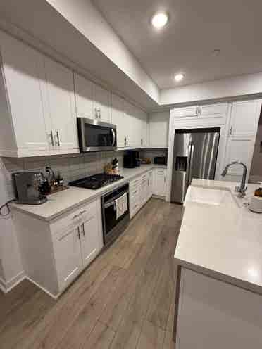 Beach Condo 1 Bedroom Rental