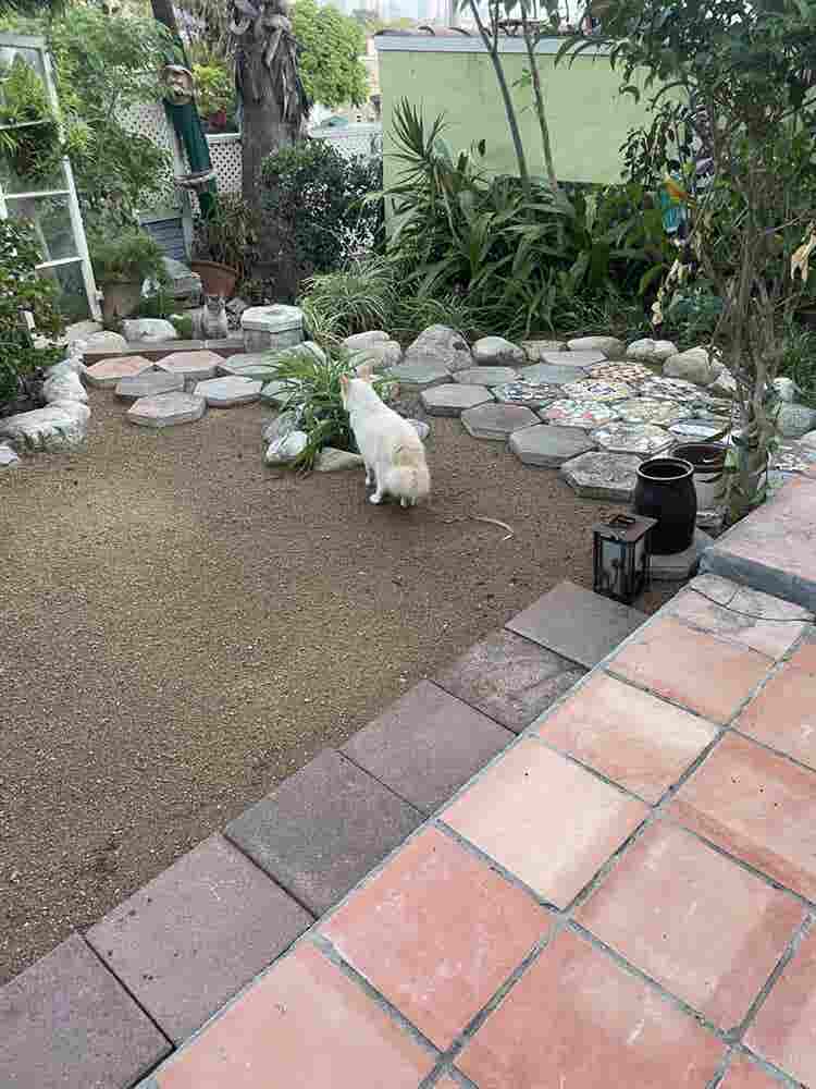Silverlake Hilltop Home to share