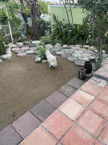 Silverlake Hilltop Home to share