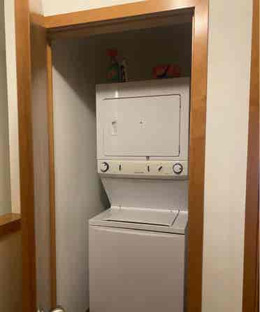 Need One More Roommate!