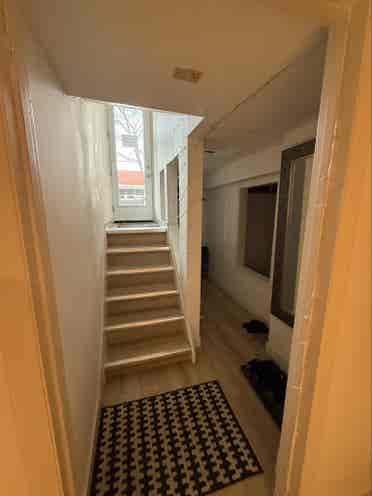 Basement room for rent
