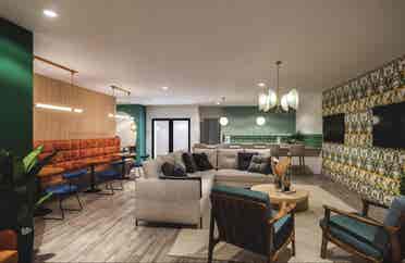 Looking for a roommate
