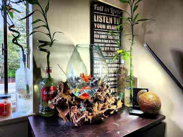 Large furnished room in dream house