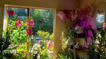 Large furnished room in dream house