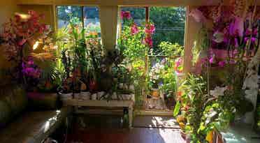 Large furnished room in dream house