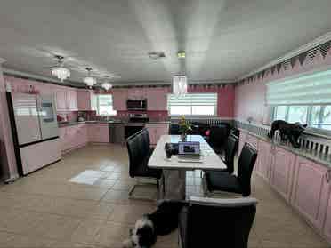Wild Themed Home