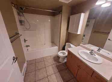 2 bedroom condo for rent