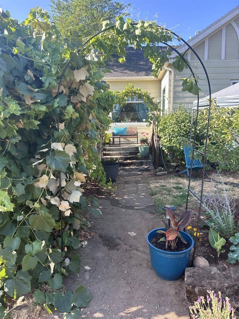 Cozy house, seeking 1 housemate