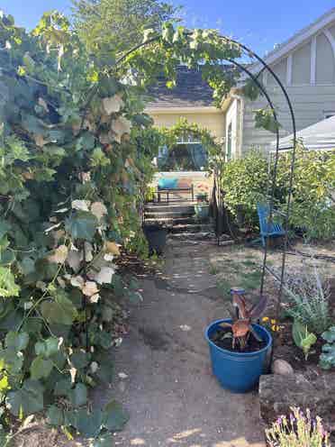 Cozy house, seeking 1 housemate