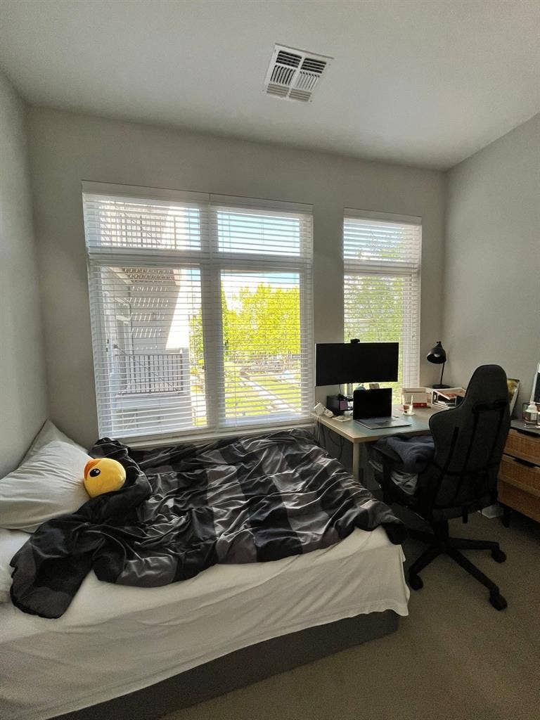 Looking for roommates