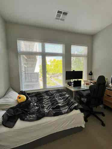 Looking for roommates