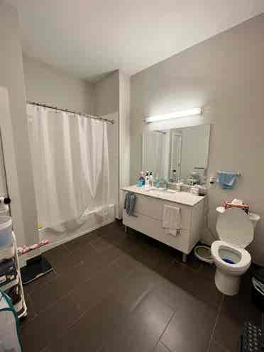 Looking for roommates