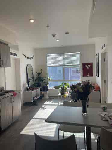 Female roommate wanted!  Costa Mesa