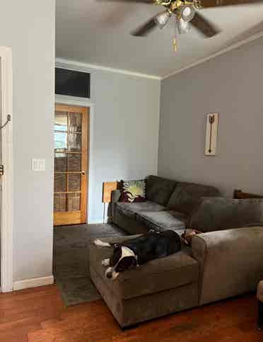 Quiet, Charming in Greenpoint