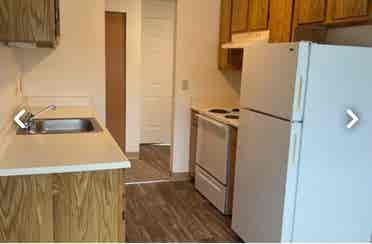 Looking for a friendly roommate