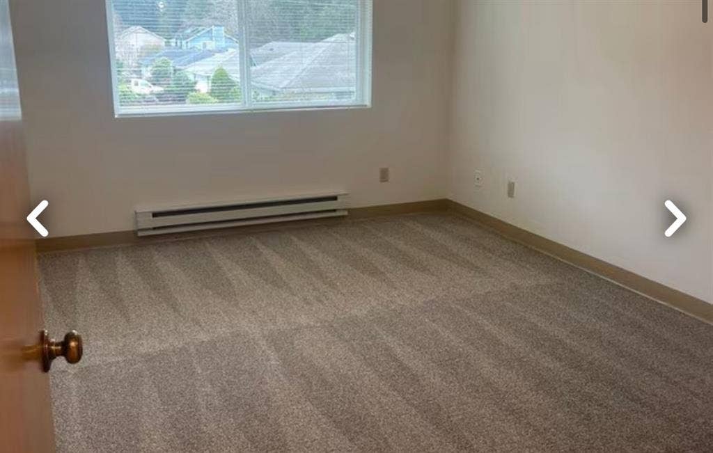 Looking for a friendly roommate