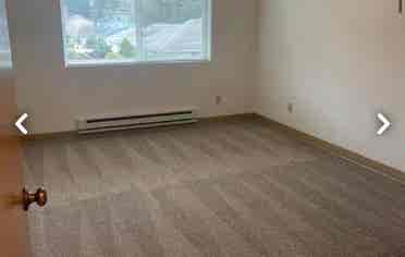 Looking for a friendly roommate