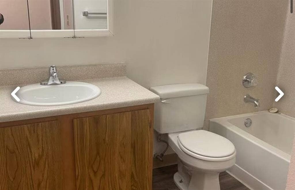 Looking for a friendly roommate