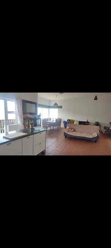Looking for a house mate