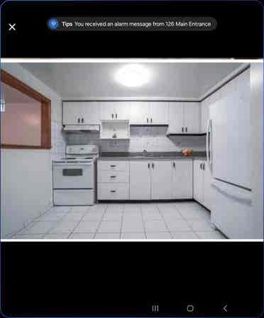 Sharing basements for rent
