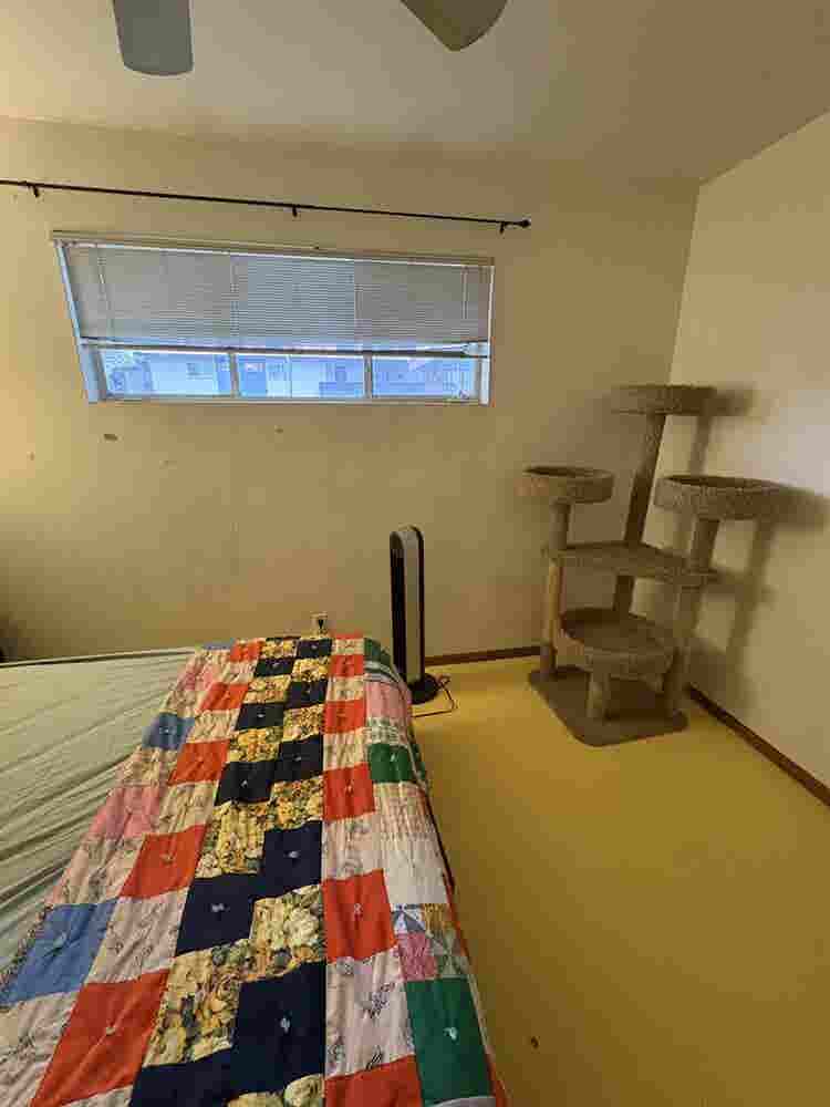Midtown Phoenix Apartment Room