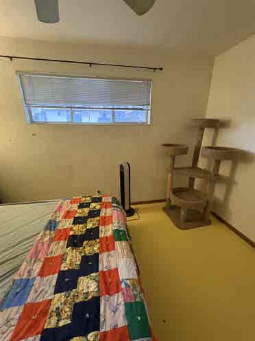 Midtown Phoenix Apartment Room