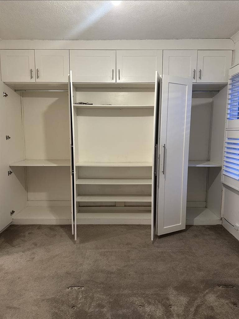 Two Flat mates wanted (F)