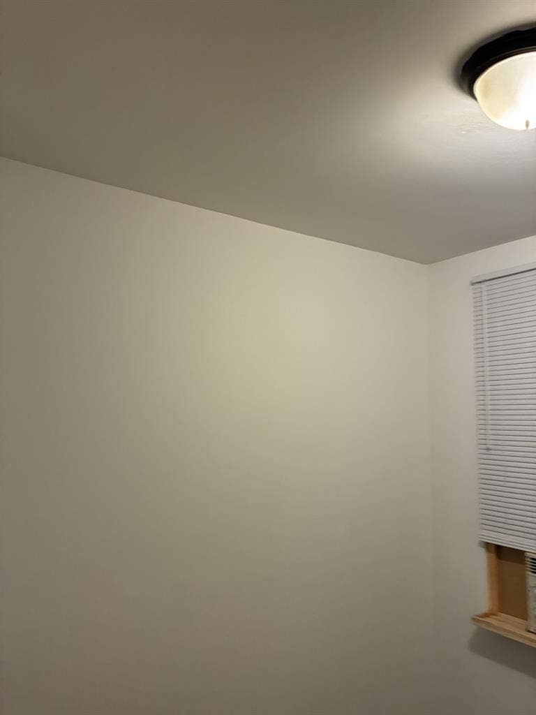 Small but clean