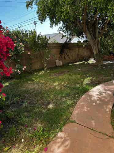 One bedroom for rent in Azusa