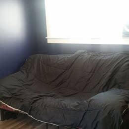 Pet friendly room in a shared house