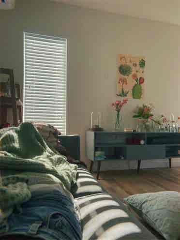 looking for summer subleaser ASAP:)
