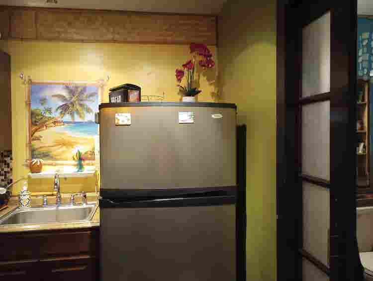 Furn.STUDIO-Full Kit w/Private Bath