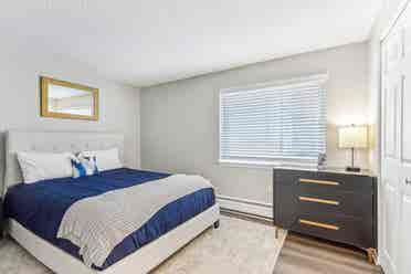 Roommate needed