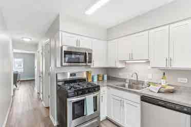 Roommate needed