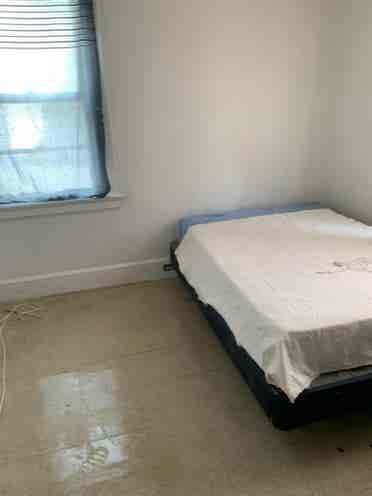 Roommate Wanted