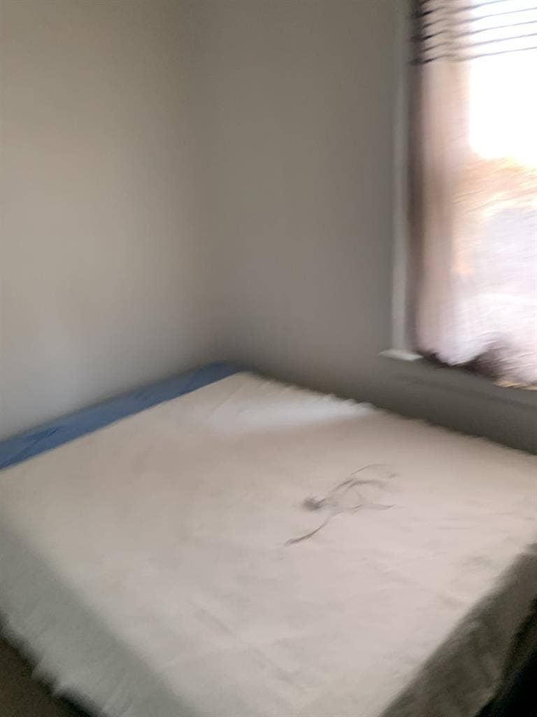 Roommate Wanted