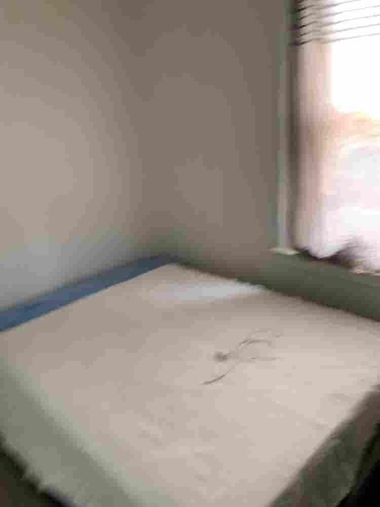Roommate Wanted