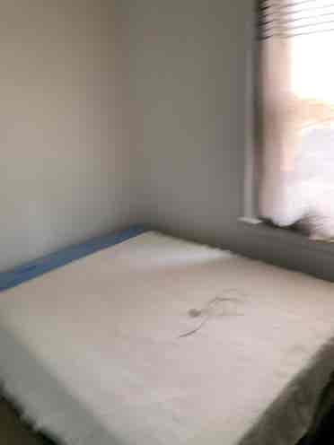 Roommate Wanted