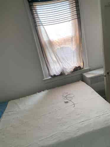 Roommate Wanted