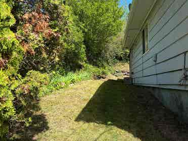 3 BR in Seattle