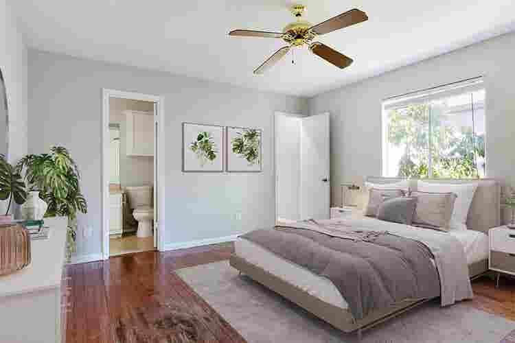 1 BR in Austin