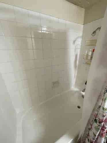 Female roommate only