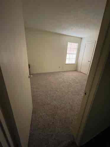 Female roommate only