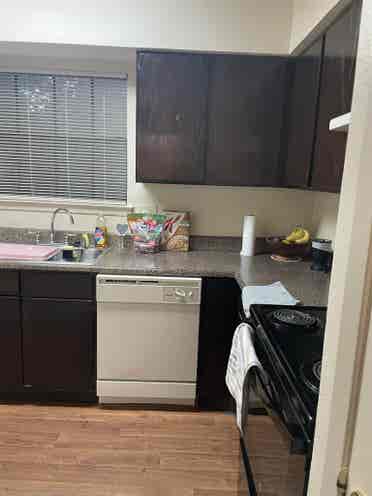 Female roommate only