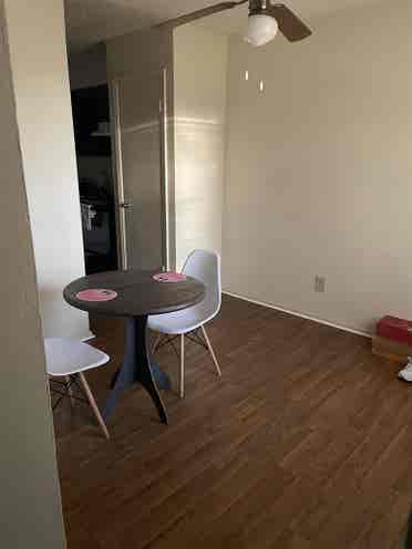 Female roommate only