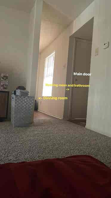 Female roommate only