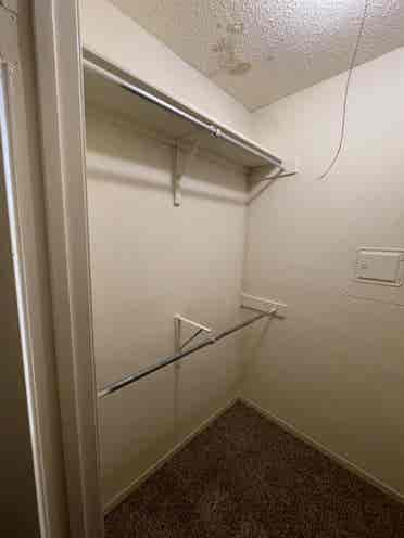 Female roommate only
