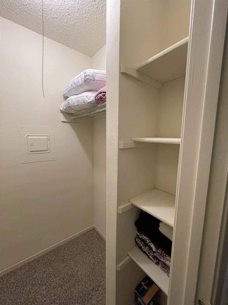 Female roommate only